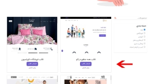 سایت ساز راکو و نحوه راه اندازی سایت در آن