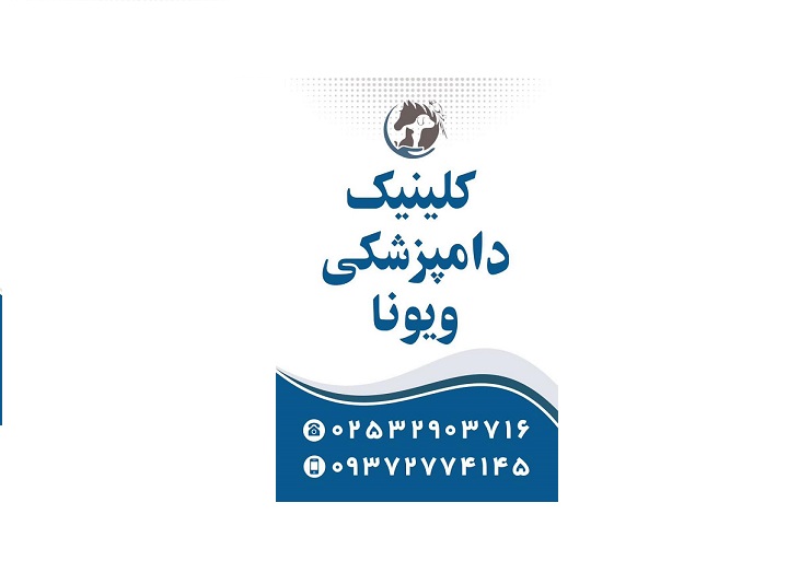 کلینیک دامپزشکی ویونا در قم، دوست واقعی حیوانات خانگی شما.