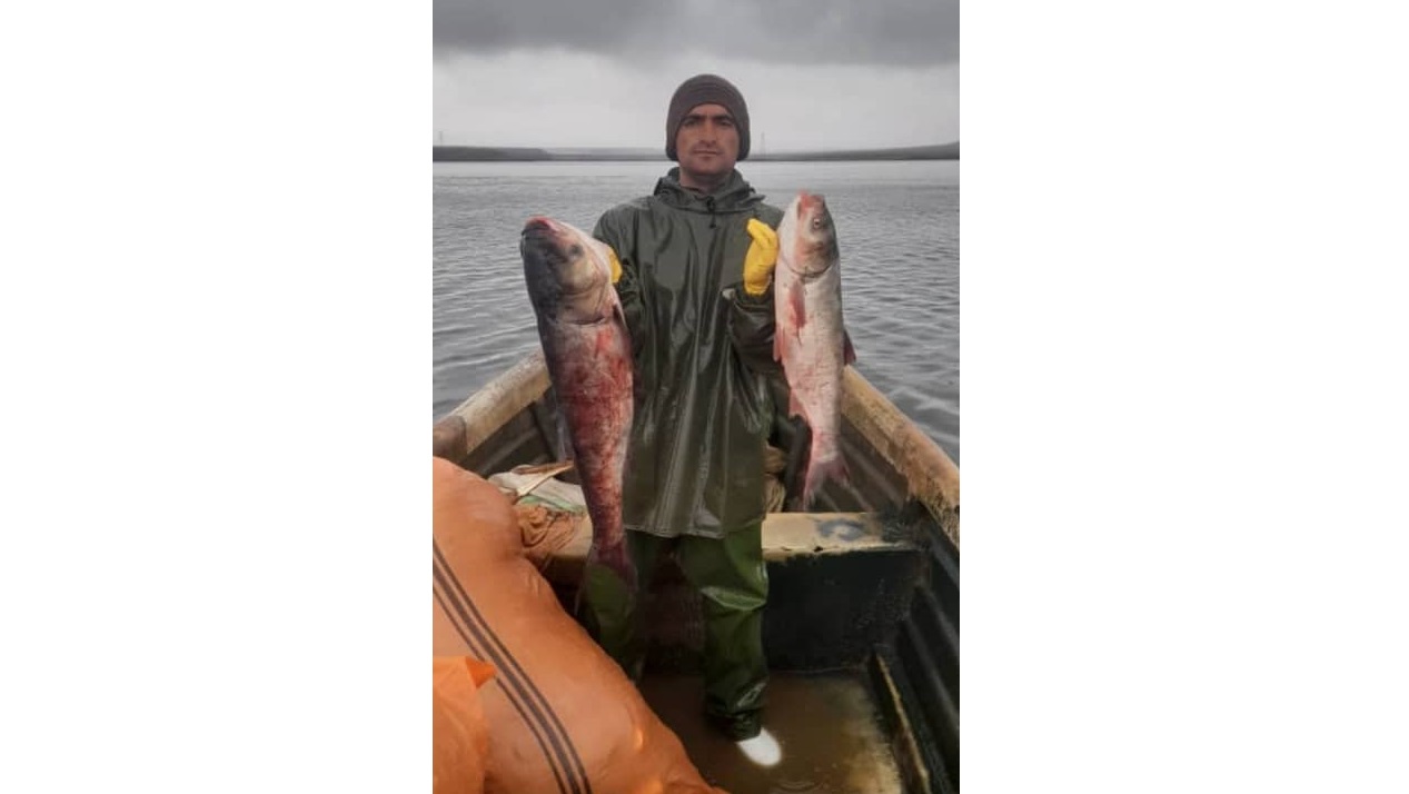 بهترین ماهی فروشی در سد ارس