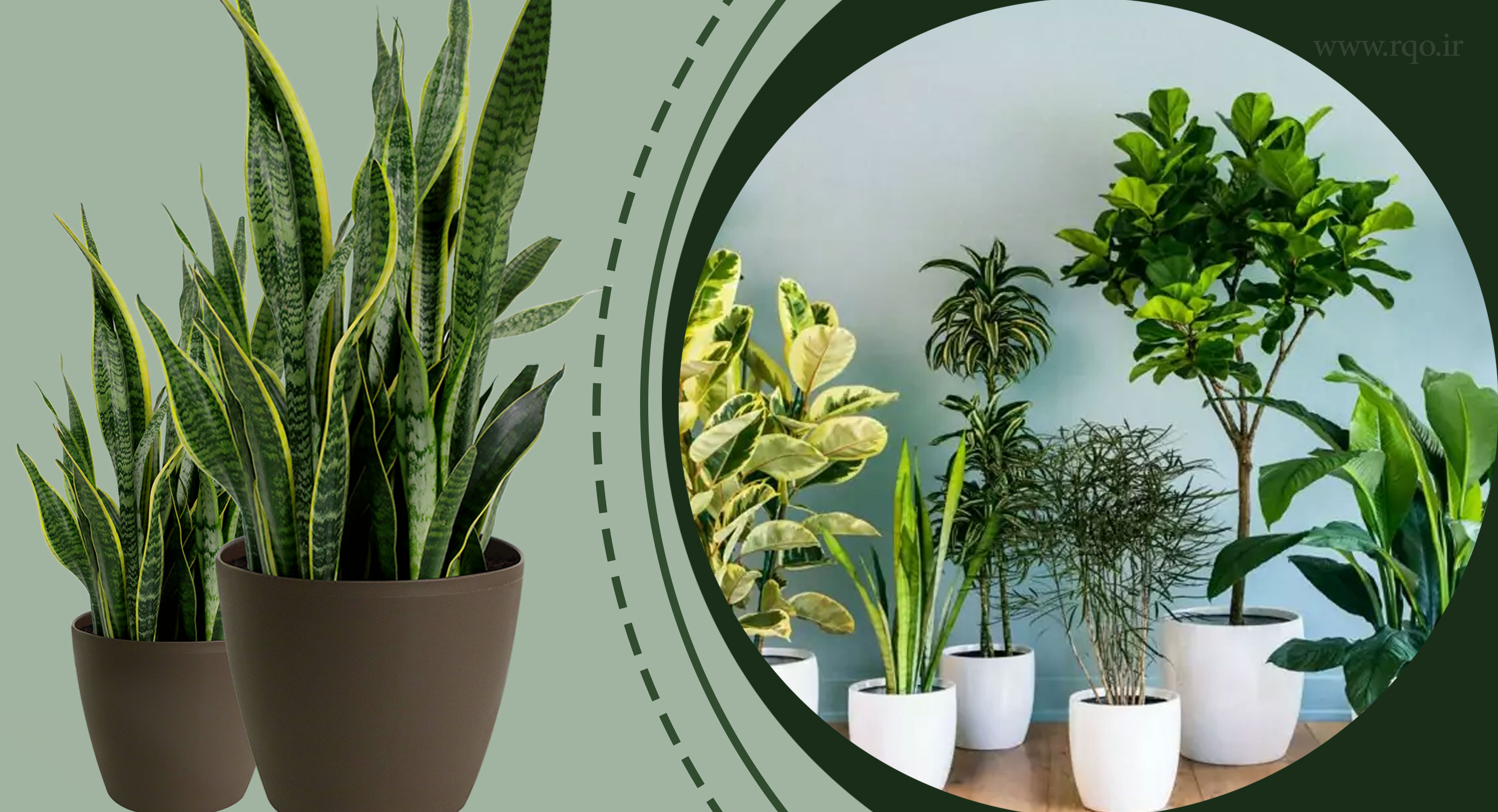 خرید و فروش ساخت و ساز گلخانه اسپانیایی شبانی در مرند