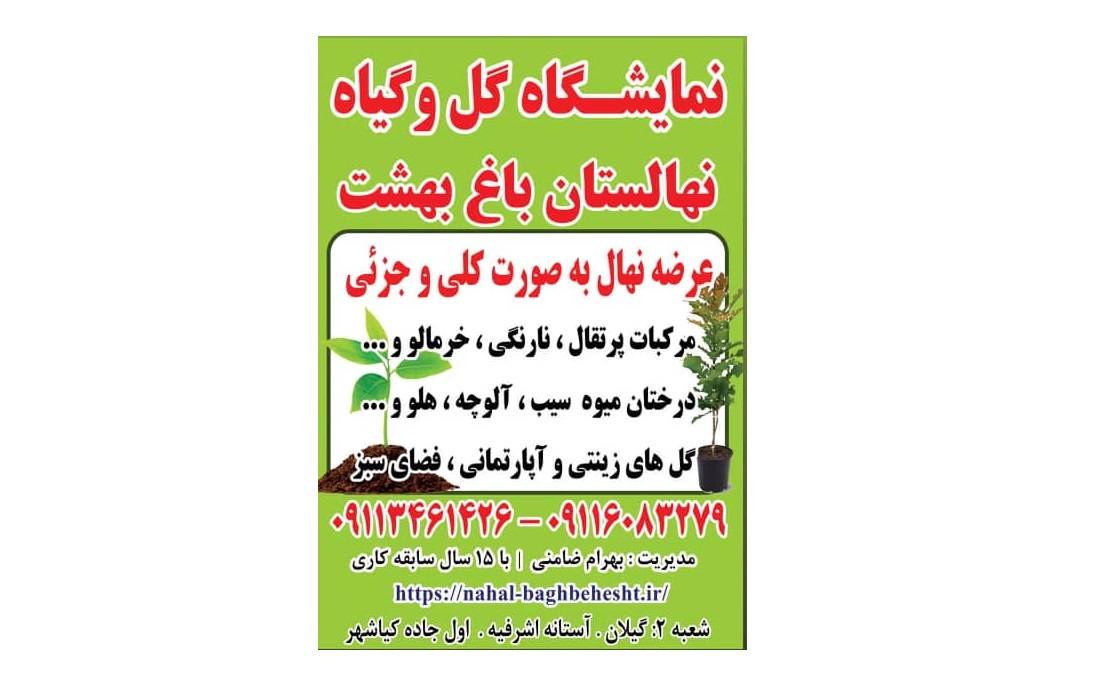 "نهالستان باغ بهشت بهرام در گیلان ، تضمین کننده آینده سبز شما."