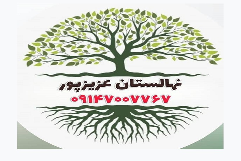 نهالستان عزیزپور در اردبیل