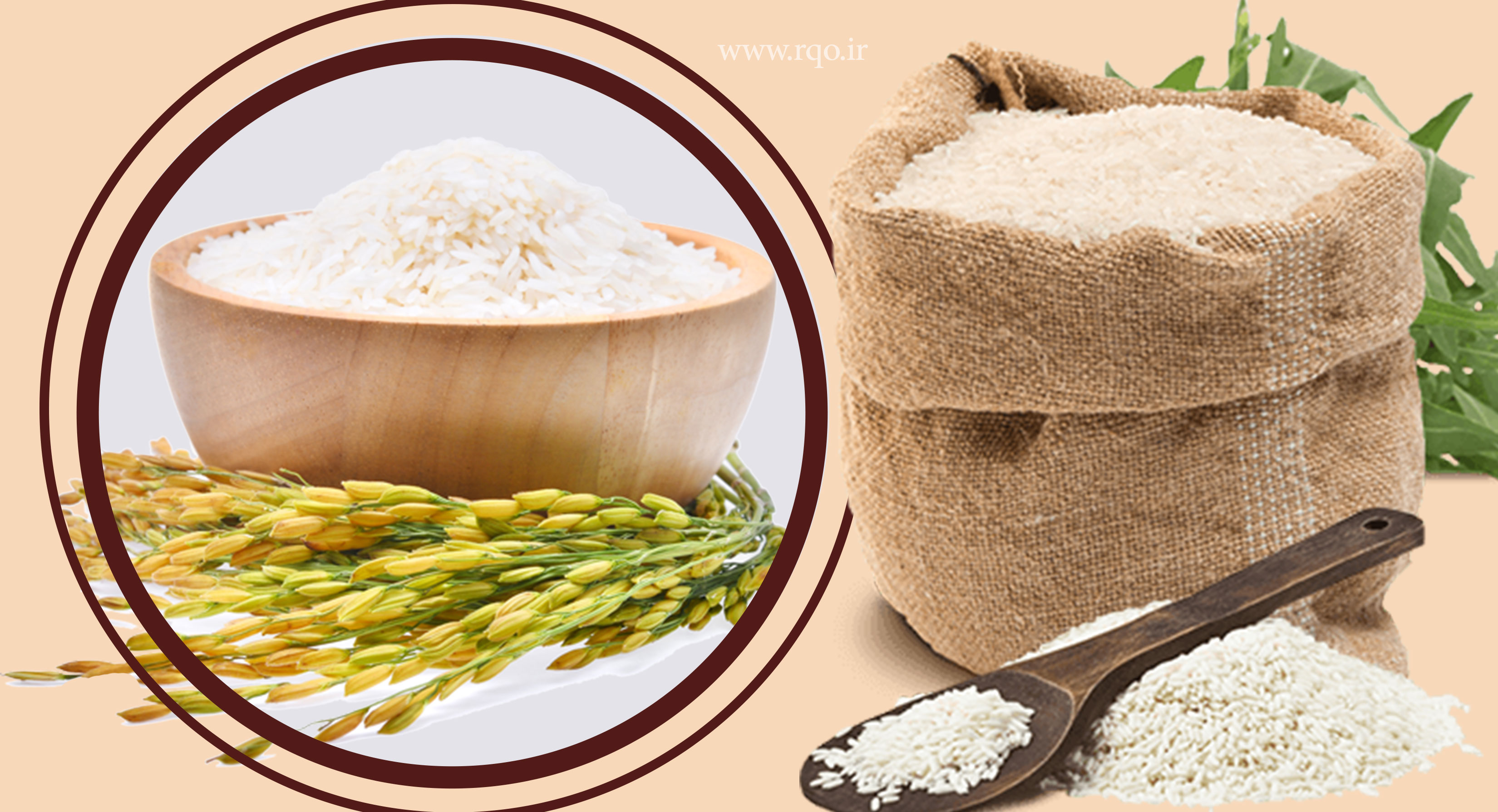 بهترین تولید و فروش برنج در سیرجان