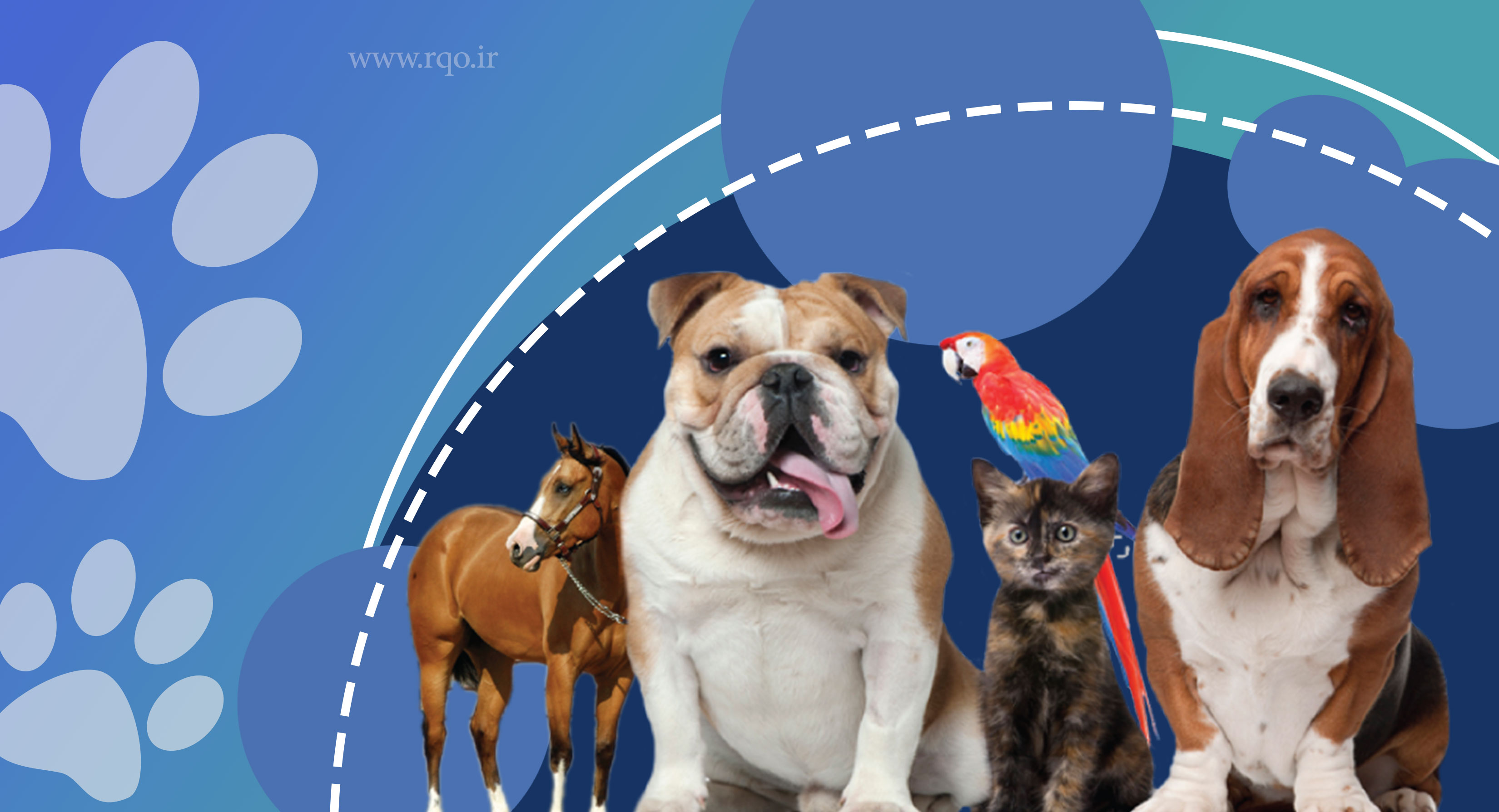 پت شاپ درنا در بهشهر